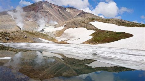 大雪山旭岳の花情報 Daisetsuzan Asahidake Ropeway