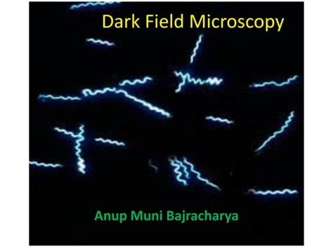 Dark Field Microscopy Ppt