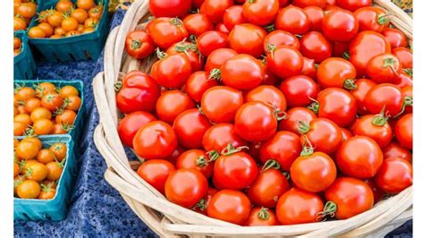 Tomato Rates Sees A Fall In Madanapalle Market Indtoday