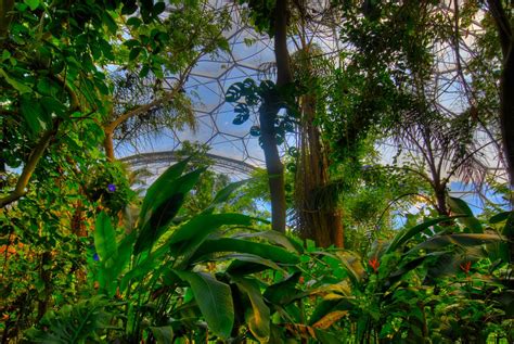 modern garden  eden tropical forest   dome   flickr