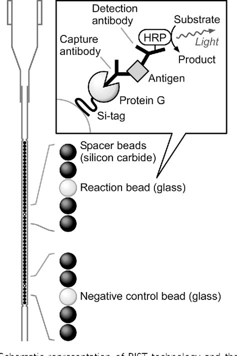 Figure 1 From Automated Enzyme Linked Immunosorbent Assay Using Beads