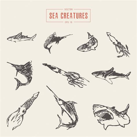 Premium Vector Collection Of Realistic Sea Creatures Hand Drawn