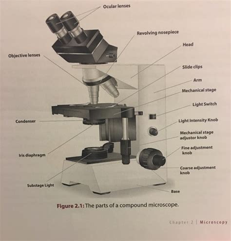 Microscopy Flashcards Quizlet