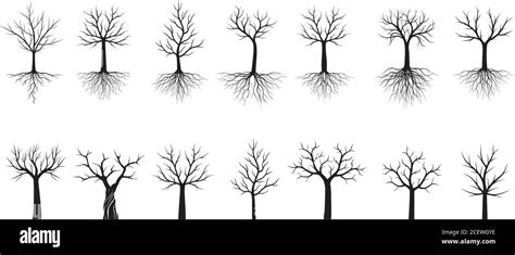 Set Black Trees With Roots Vector Outline Illustration Plant In