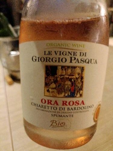 Le Vigne Di Giorgio Ora Rosa Chiaretto Di Bardolino Spumante Vivino US