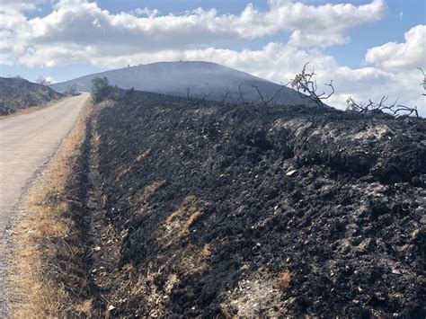 EN IMAGES Les landes et tourbières des monts dArrée ravagées après l