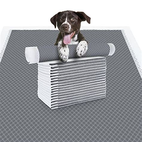 disposable potty training pads - Best Family Pets