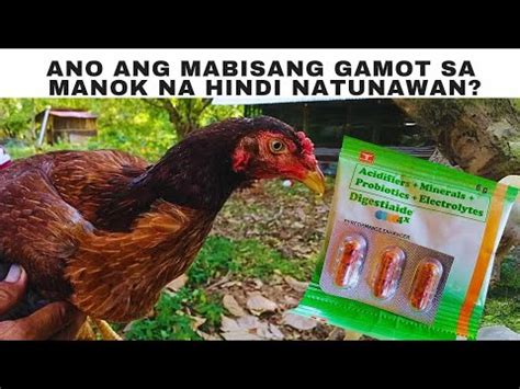 ano ang mabisang gamot sa manok na hindi natunawan youtube