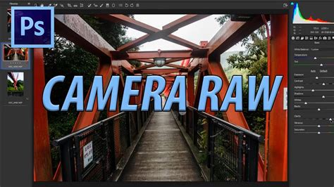 How To Use Camera Raw In Photoshop Cc Earlockq