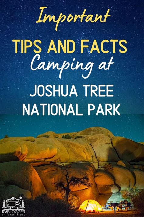 RV Camping in Joshua Tree: Ultimate Campground Guide for 2022