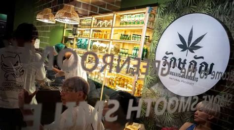 Thailand Allows Weed Cafés To Sell Cannabis In Bid To Attract Tourists Mirror Online