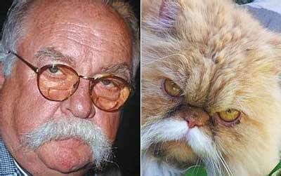 * The Blog of Moustaches: Wilford Brimley VS a Cat