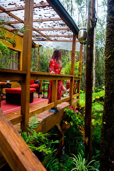 Peaceful Rainforest Treehouse Retreat Treehouses For Rent In Volcano