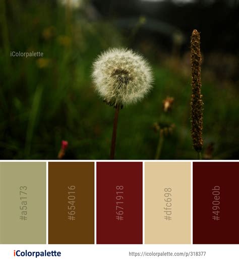 431 Dandelion Color Palette Ideas In 2024 Icolorpalette