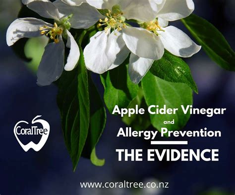 Apple Cider Vinegar And Allergies The Evidence Coraltree