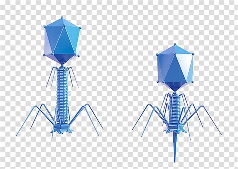 Bacteriophage Biotechnology Biology Biological Technology Transparent