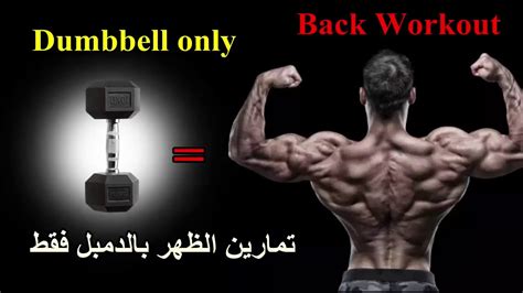 بالدامبل فقط افضل تمارين الظهر في المنزل Best Back Workout With Dumbbell Only Youtube