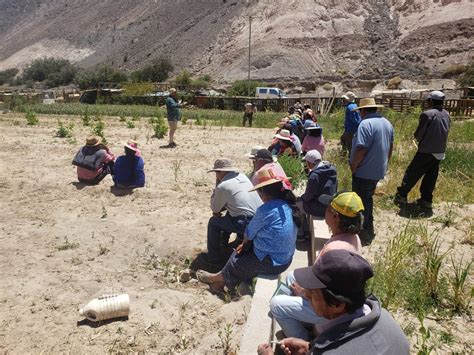 Acad Mico Uach Particip En Escuelas De Campo En Transici N