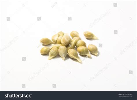 419,920 Orange Seeds Images, Stock Photos & Vectors | Shutterstock