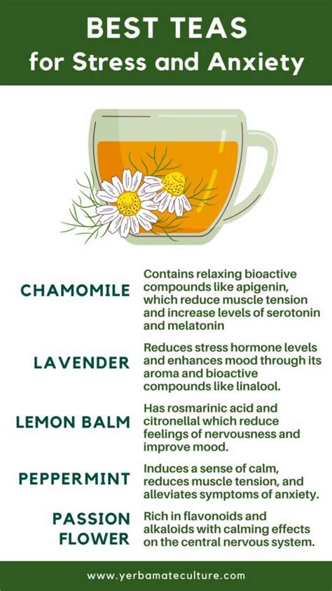 Best Herbal Teas For Stress And Anxiety Find A Natural Relief