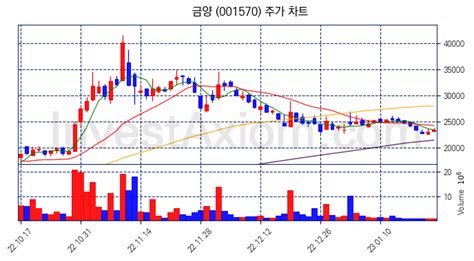 금양 주가 전망 분석 주식 차트 분석과 기간 수익률 및 주가 변동성 분석 23년01월25일 Investaxiom