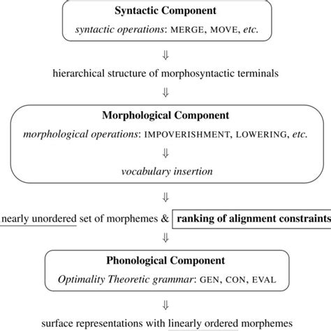 Morphosyntactic Structure And Alignment Analysis Of Verbal Forms Download Scientific Diagram