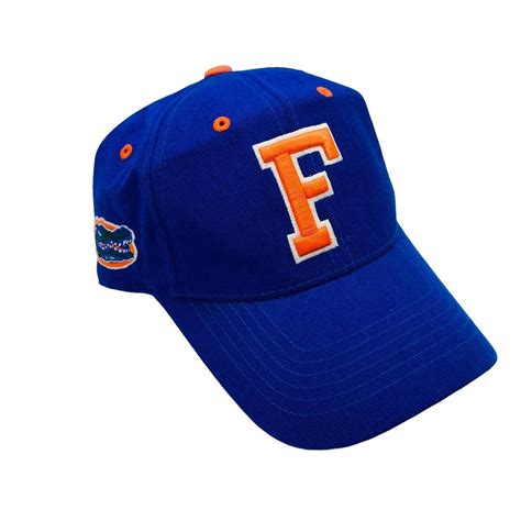 Florida Gators Hat One Size Fits All Depop