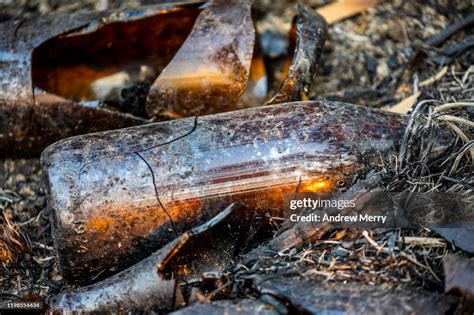 Old Broken Glass Beer Bottles On Burnt Forest Floor After Bush Fire In