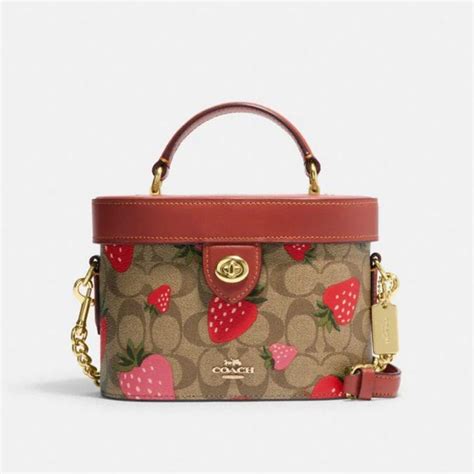 Coach Strawberry Signature Bucket Bag Womens Fashion Bags And Wallets
