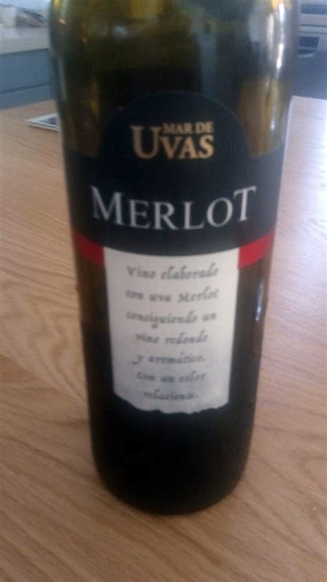 Merlot Mar de Uvas en Mercadona opción deliciosa y económica