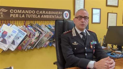 Dichiarazione Del Tenente Colonnello Starace Pasquale Comandante Del