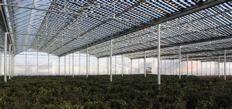 Agricultural Photovoltaic Greenhouse Agricultural Pv Greenhouses Macsun Solar Supplys Solar