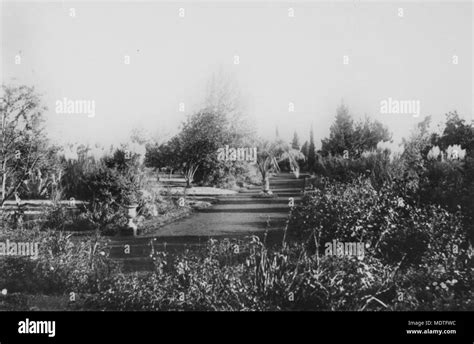 Formal garden layout Stock Photo - Alamy