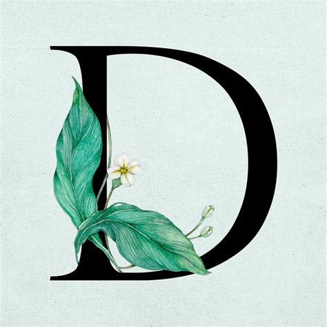 Letter D Psd Floral Alphabet Images Free Photos Png Stickers