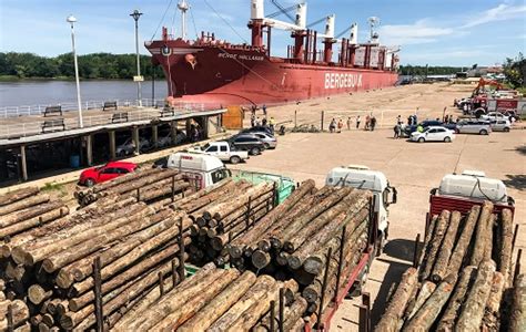 La exportación forestal a través de los puertos entrerrianos ha