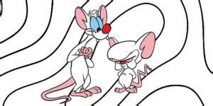 Desenhos De Pinky E C Rebro Para Colorir Bora Colorir