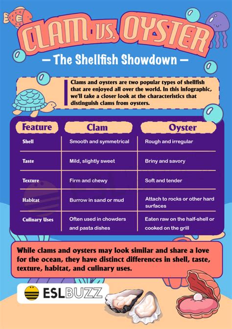 Clam vs. Oyster: A Guide to Choosing the Perfect Shellfish for Your Dish - ESLBUZZ