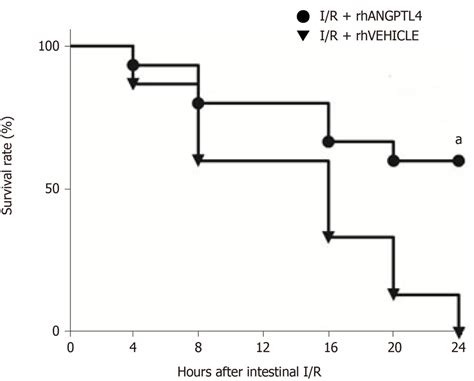 Survival Benefit In Recombinant Human Angiopoietin Like Protein