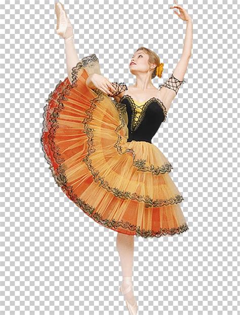 Dance Dresses Png Clipart Ballet Dancer Ballet Tutu Bodice