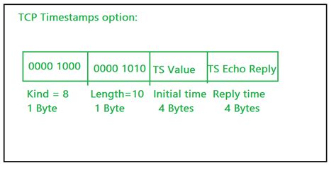 Options Field In Tcp Header Geeksforgeeks