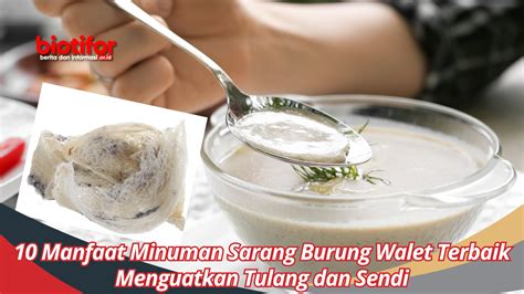 10 Manfaat Minuman Sarang Burung Walet Terbaik Menguatkan Tulang Dan Sendi Biotifor