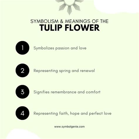 Tulip Flower Symbolism Meanings And History Symbol Genie