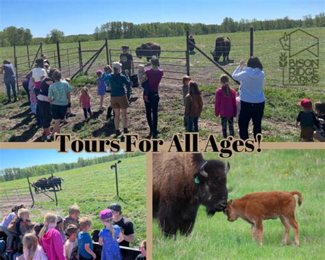 Tours – Bison Ridge Farms