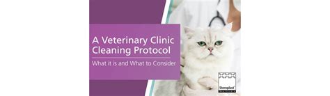 A Guide To Veterinary Cleaning Products Steroplast Healthcare