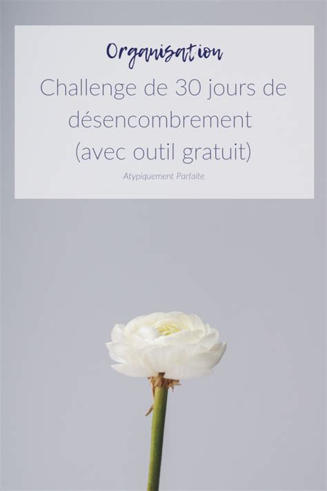 Challenge De Jours De D Sencombrement Avec Outil Gratuit