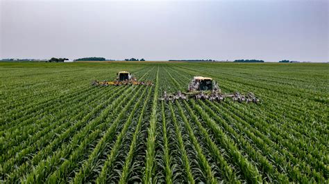 What Is E Agriculture Harnessing Digital Power For Sustainable Farming