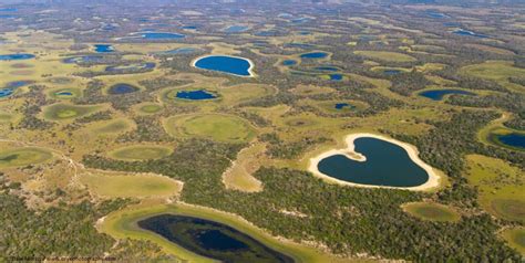 Pantanal mato grossense a maior planície alagada do mundo