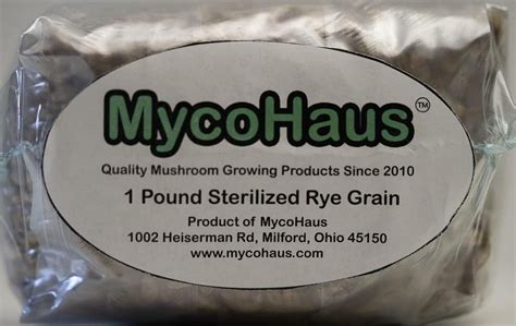 12 Pack One Pound Injection Port Bags Of Sterilized Rye Grain Mushroom