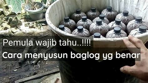 Cara Menyusun Baglog Jamur Ke Dalam Drum Sterilisasi Yang Benar