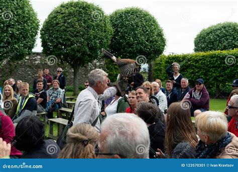 Falconry Show at Dunrobin Castle, Scotland Editorial Photo - Image of manson, history: 123570301